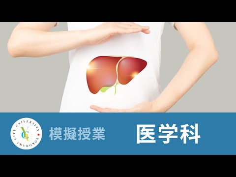 横浜市立大学 ONLINE オープンキャンパス 2024 | 模擬授業 | 医学科：人体の化学処理工場「肝臓」の解剖・組織学