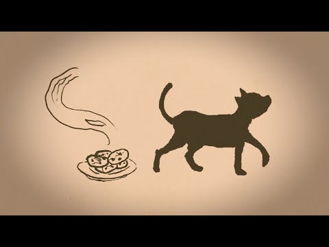 How do humans, cats, and cockroaches taste sweetness?