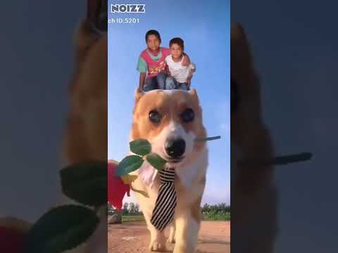 be.mishal kashyap(1)