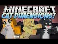 Minecraft | CAT DIMENSIONS! (Bad Cats, Evil Cats ...