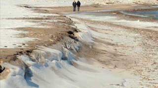 MARIA BETHANIA      &quot; FERA FERIDA &quot;