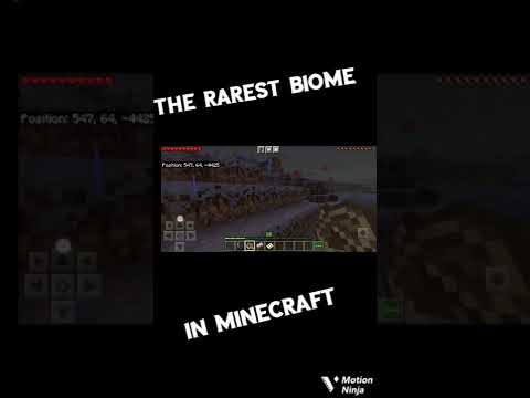 ❤️❤️❤️one of the rarest biome in Minecraft 😱😱