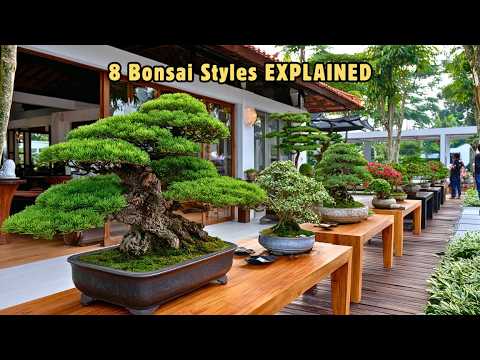 8 Bonsai Styles Explained | History, Design, and Rare Variations
