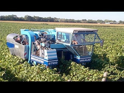 Modern agriculture Amazing Grape harvesting machines in the world