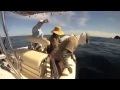 BOCA CHICA, ISLA LADRONES PESCA PANAMA