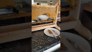 Hotel best western plus khan antalya zouheir