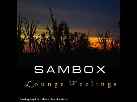 Sambox - We Can Fly