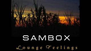 Sambox - We Can Fly video