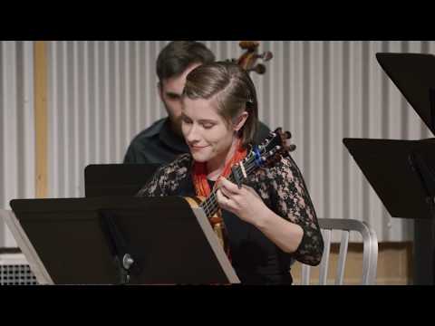 H. Biber's Battalia à 9 - DELIRIUM MUSICUM