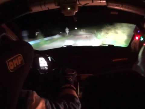 Rally Cremona 2016 ps pellegrino