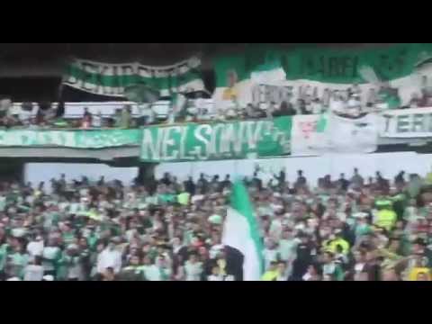 "El Color de la PasioÌn, El Color de la Nación" Barra: Nación Verdolaga &bull; Club: Atlético Nacional