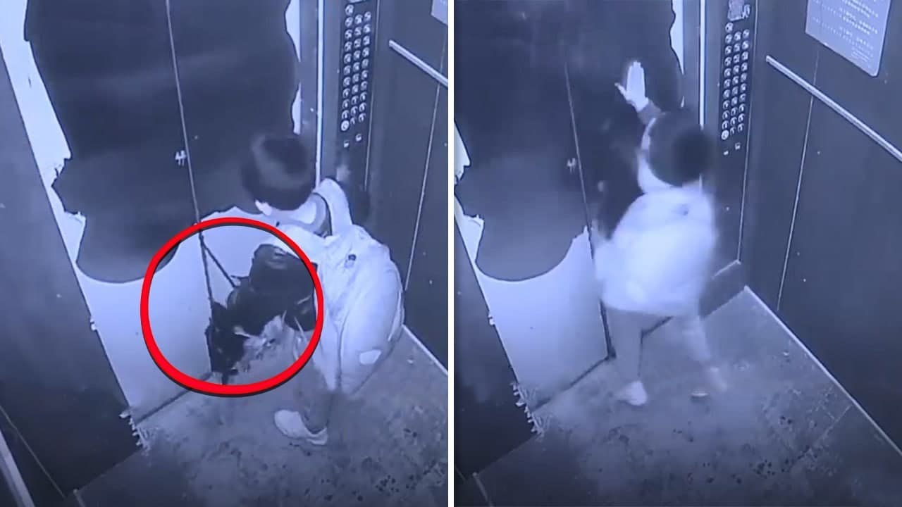 На Скрытую Камеру Попало ТАКОЕ, что Никто не Должен Был Увидеть
