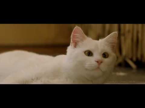 Корбена Далласа пытаются ограбить. Пятый элемент.