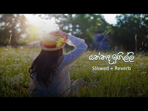 Yannada Igilli - යන්නද ඉගිල්ලි (Slowed +Reverb) - Diary of the Paradise
