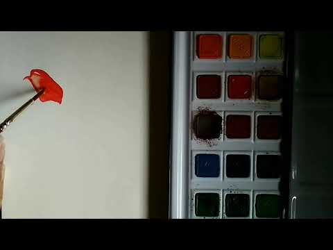 Flowers using watercolours tutorial for beginners!