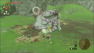 魔物に見つからずに何度もふいうちをするやり方  【ゼルダの伝説 ティアーズオブザキングダム】【ティアキン】