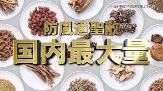 ナイシトールＺ　ＰＮＡＣ改訂「医薬品」篇Ｄ（N1T-0335）