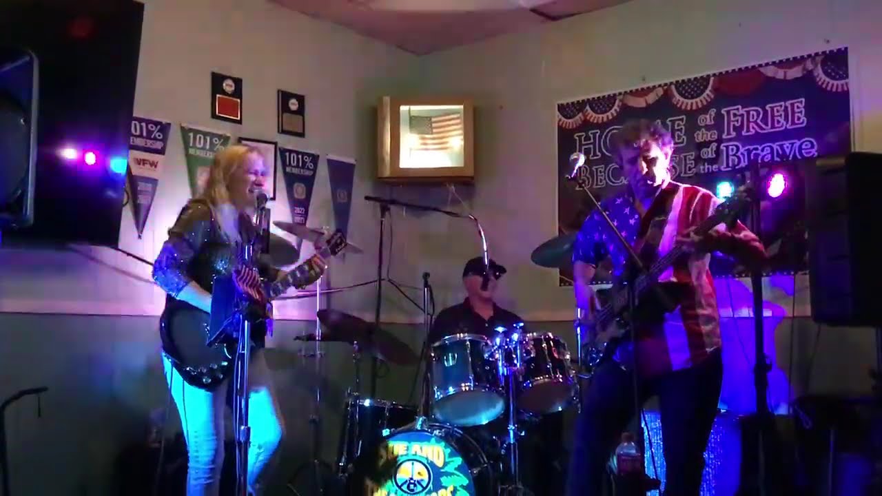 Promotional video thumbnail 5 for Sue and The Survivors