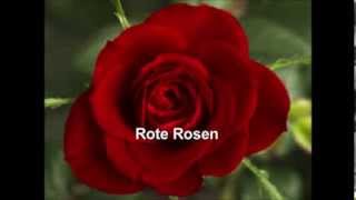 Rote Rosen (Strauss); Charlotte Margiono, Peter Nilsson