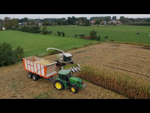 Claas Jaguar maiskolvenschroot hakselen loonbedrijf Jan Rauw &Zn