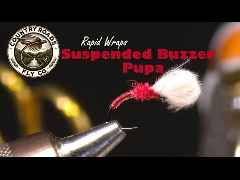 Suspended Buzzer Pupa