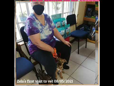 Puppy Dog Zela - one month with us today.