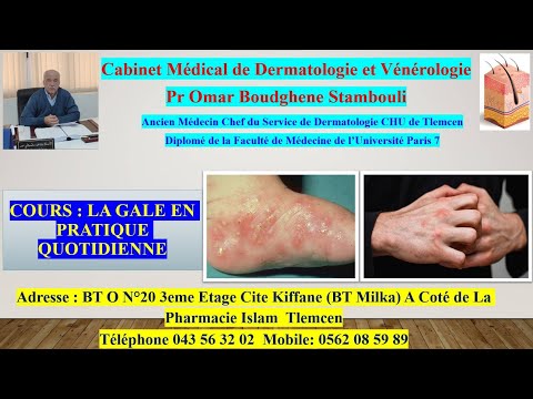 La gale en pratique quotidienne