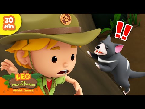 Witness21 Editor  2024 02 29