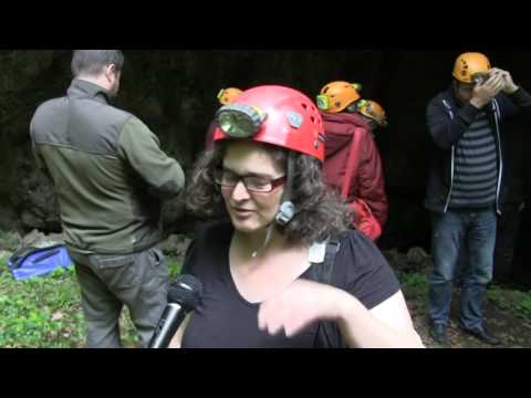 Pesteri si avene reablitate - reasigurarea habitatelor naturale in Caras Severin