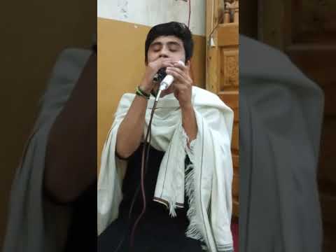 Ya Kareema | Manqabat Masooma E Qum | Hamsheer E Raza | Originally Recited by Ustad Mir Hasan Mir