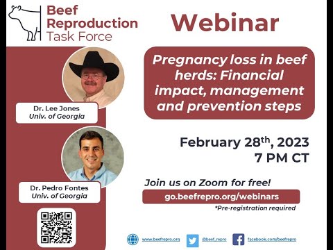 BRTF Spring Webinar - Pregnancy loss in beef herds: Financial impact, management and prevention