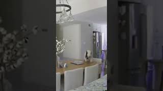 Funny Videos 2021 ● #shorts