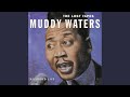 Just To Be With You (Live) - Muddy Waters - Topic Just To Be With You (Live)