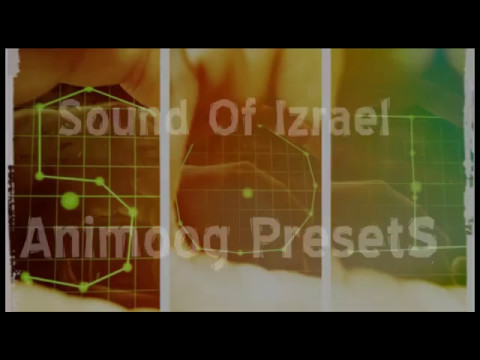 SoundOfIzrael - "Anigrit" 75 Presets for Animoog Demo song