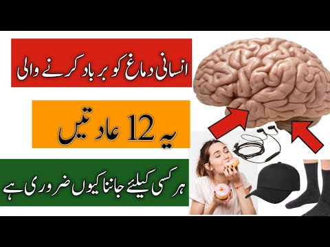 Dimag ko tabah Karne wali Aam Adatein | Bad Habits that damage your brain | info channel |