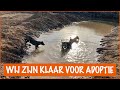 Wat een beestenboel. Dit zijn alle dieren op de opvang! | DierenpraatTV