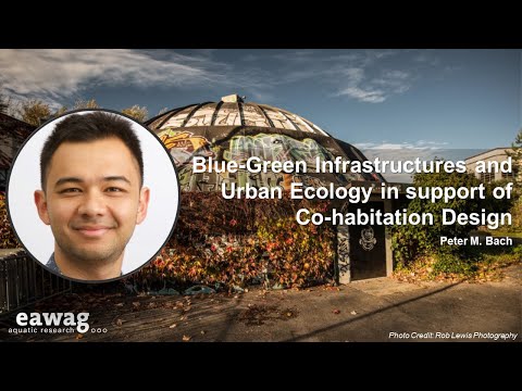 BGI and Urban Ecology in support of Co-habitation Design