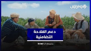 برنامج الجيل الأخضر يدعم الفلاحة التضامنية عبر تمويل مشاريع تعاونيات الشباب والنساء thumbnail