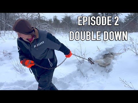 Wolf Trapping 2026 - Episode 2 - DOUBLE DOWN