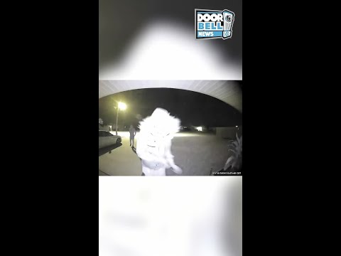 Burglary in Springfield, MO