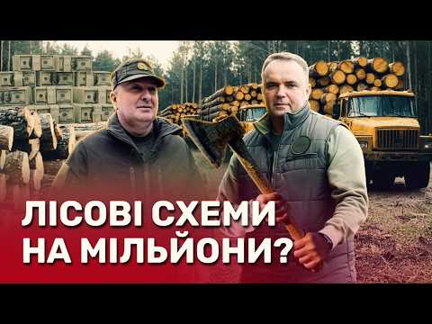 Преступные схемы заработка на лесах: Харьковщина