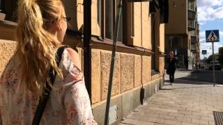 Swedish falukorv och Kalle Moraeus