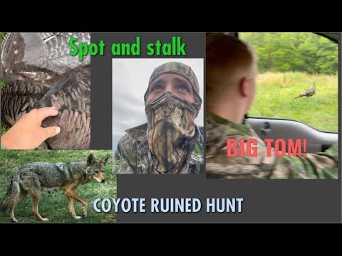 TURKEY SHOT WITHIN FEET!! coyote ruined turkey hunt!*bonus*