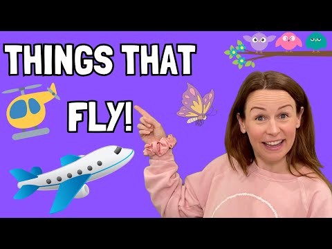 Learn about THINGS THAT FLY! - Toddler Learning Video - Happy You're Here!
