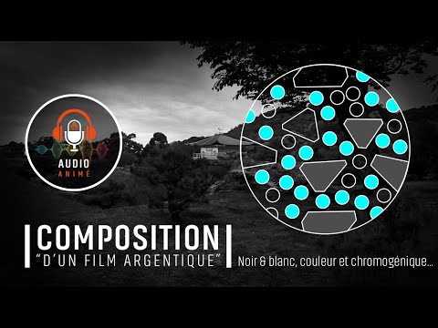 COMPOSITION "D'UN FILM ARGENTIQUE" : Noir & blanc, couleur, et noir et blanc chromogènique