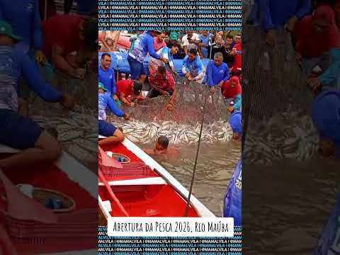 Abertura da Pesca 2026, Rio Maúba - Municipio Igarapé-Miri, Pará #pescaria #natureza #news #peixes