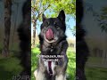 Thumbnail image 10