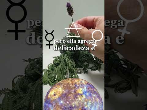 Homemade Florida Water. All its magic #aromas #aromaticherbs