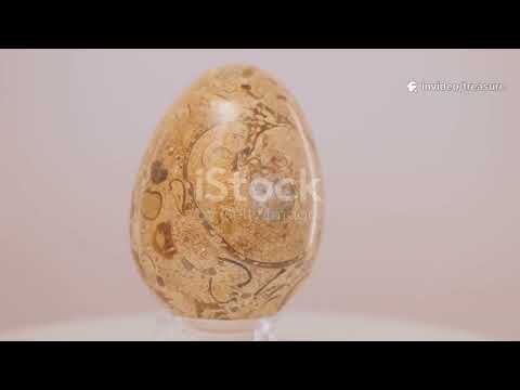 Titanosaurs: The Giants That Ruled the Earth