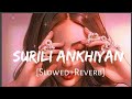 Surili Akhiyon Wale Slow Reverb Rahat Fatah Ali Khan Music Lover